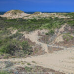 GPS: 51°7'24.9888" N 2°38'54.2148" E Altitude: 54,1 m -  -  -   -  -   -  -