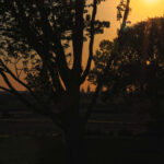 GPS: 50°50'4.6788" N 2°56'49.524" E Altitude: 100,3 m -  -  -   -  -   -  -